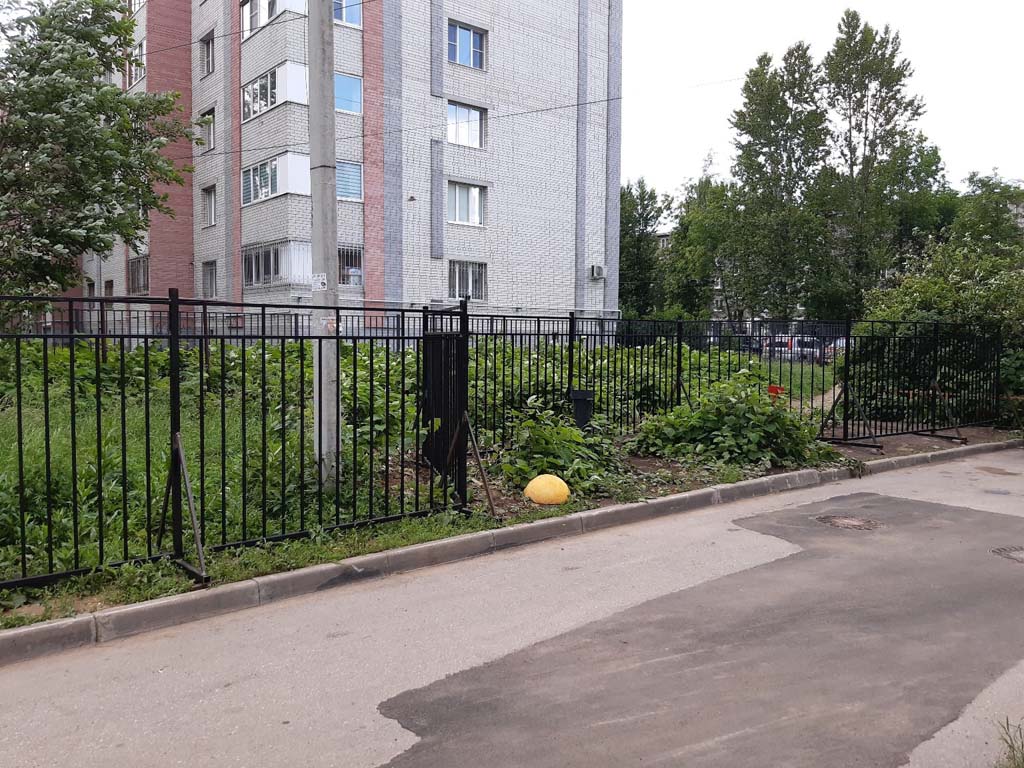 забор из профильной трубы на V-образных опорах